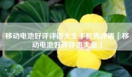 移动电池好评评语大全手机壳评语「移动电池好评评语大全」