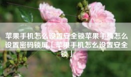 苹果手机怎么设置安全锁苹果手机怎么设置密码锁屏「苹果手机怎么设置安全锁」