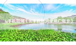 4g手机如何（4G手机如何使用广电卡）
