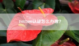 ISO22000认证怎么办理？