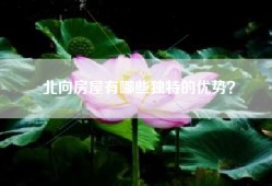 北向房屋有哪些独特的优势？