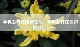 手机怎样注册微信号（手机怎样注册微信号码）
