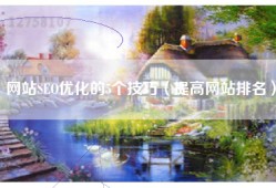 网站SEO优化的5个技巧（提高网站排名）