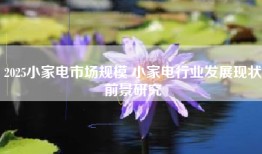 2025小家电市场规模 小家电行业发展现状前景研究