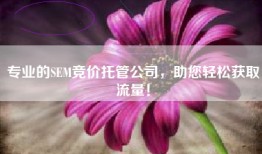 专业的SEM竞价托管公司，助您轻松获取流量！