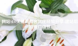 网站SEO关键词排名优化经验分享-建站后的推广细节