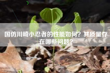 国仿川崎小忍者的性能如何？其质量存在哪些问题？