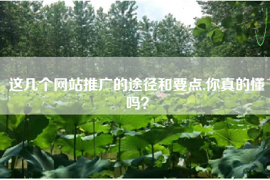 这几个网站推广的途径和要点,你真的懂吗？