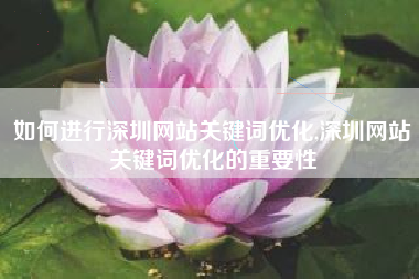 如何进行深圳网站关键词优化,深圳网站关键词优化的重要性