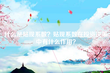 什么是贴现系数？贴现系数在投资决策中有什么作用？