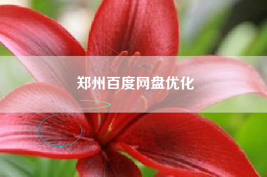 郑州百度网盘优化