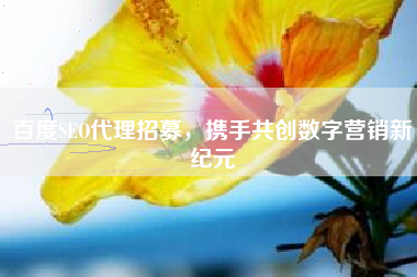 百度SEO代理招募，携手共创数字营销新纪元