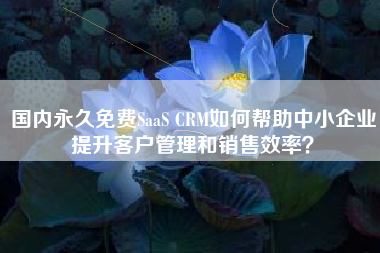 国内永久免费SaaS CRM如何帮助中小企业提升客户管理和销售效率？