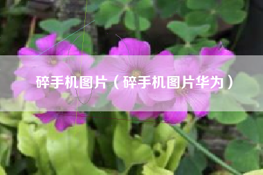 碎手机图片（碎手机图片华为）