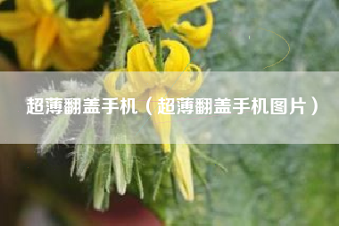 超薄翻盖手机（超薄翻盖手机图片）