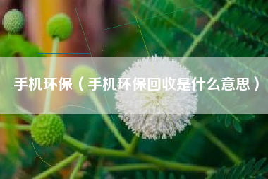 手机环保（手机环保回收是什么意思）