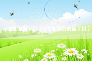 ip地址设置手机（ip地址怎么设置手机）
