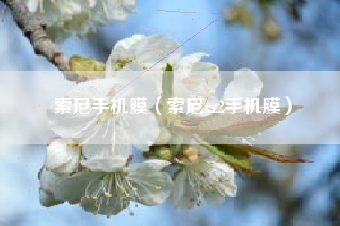 索尼手机膜（索尼xz2手机膜）
