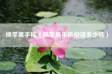 换苹果手机（换苹果手机按键多少钱）