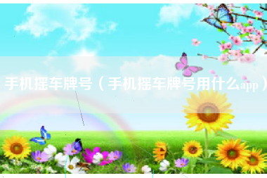 手机摇车牌号（手机摇车牌号用什么app）