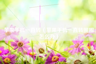 苹果手机一直转（苹果手机一直转圈圈怎么办）