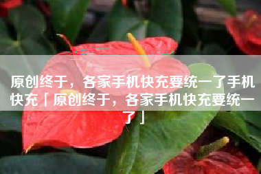 原创终于，各家手机快充要统一了手机快充「原创终于，各家手机快充要统一了」