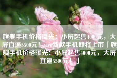 旗舰手机价格曝光：小屏起售4000元，大屏直逼5500元！vivo新款手机即将上市「旗舰手机价格曝光：小屏起售4000元，大屏直逼5500元！」