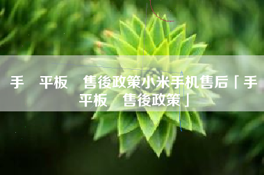 手機平板類售後政策小米手机售后「手機平板類售後政策」